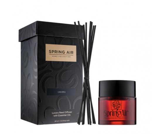 Oro gaiviklis su lazdelėmis SPRING AIR, GRAPES 100 ml
