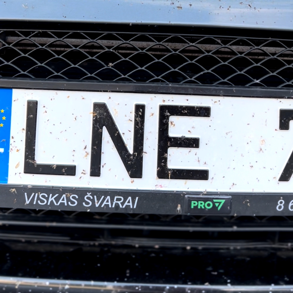 Prieš valymą