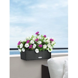 Balconera Cottage komplekto sudedamosios dalys