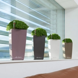 MINI CUBI Pastel Violet vazonas su vidiniu drenažu