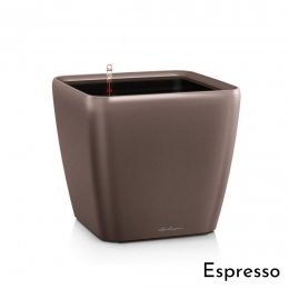 Išmanusis vazonas Quadro LS 50 Espresso
